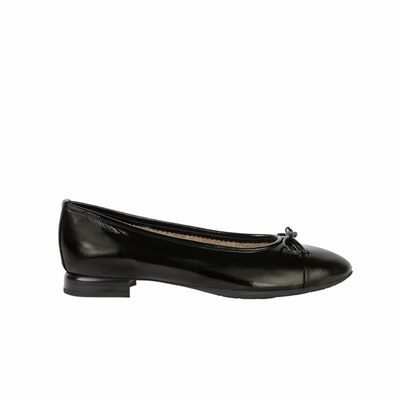 Brunate Lambskin Gefütterte Ballerina Ballerinas Damen Schwarz | FGRQ36920