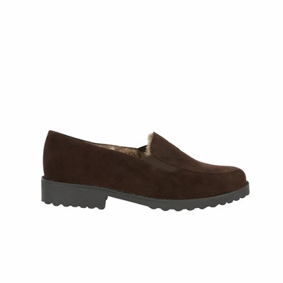 Brunate Lambskin Gefütterte Klassische Model Ballerinas Damen Braun | CVQA30479