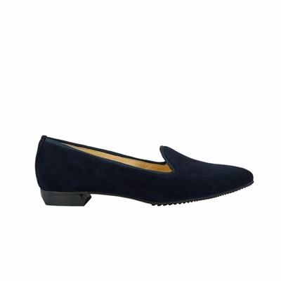 Brunate Pointy Hausschuhe Stylen Flache Ballerinas Damen Blau | DSMF30127