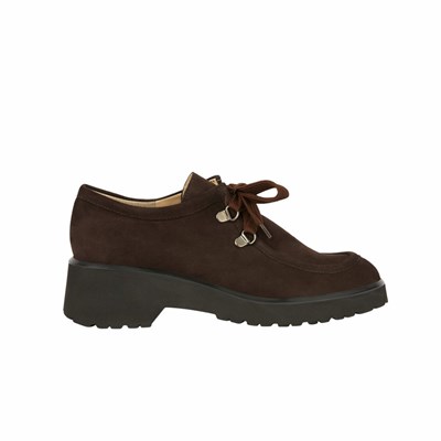 Brunate Spitze Up Ballerinas Damen Braun | BAXQ43590