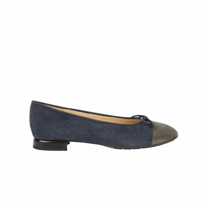 Brunate Two Toned Ballerina Ballerinas Damen Navy | HKQZ08241